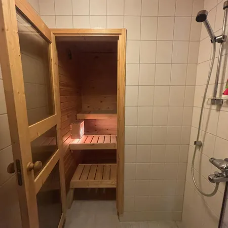Sillankorva Apartman Viitasaari